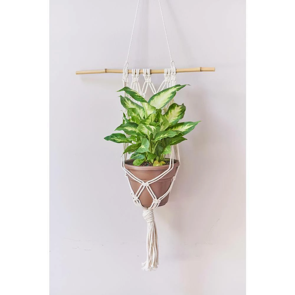 Primitive Planters Polypropylene Large Antique White Macrame Wall Planter - Image 2