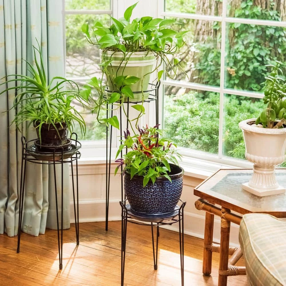 Gilbert & Bennett 15 in. Black Basic Metal Plant Stand - Image 4