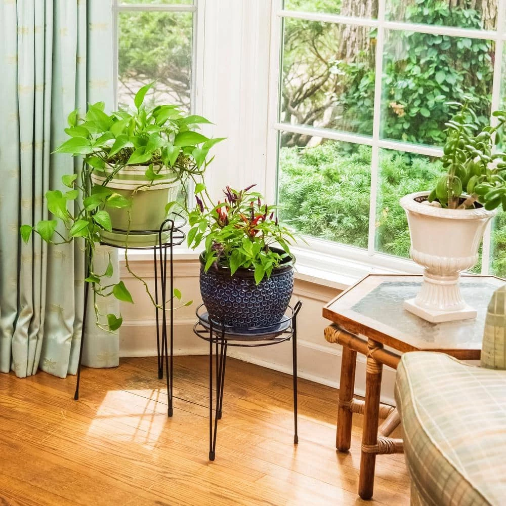 Gilbert & Bennett 15 in. Black Basic Metal Plant Stand - Image 5