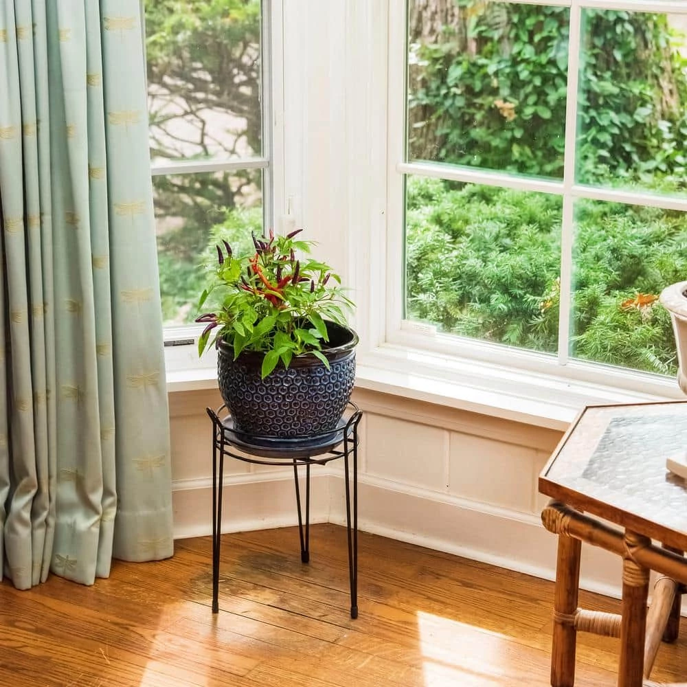 Gilbert & Bennett 15 in. Black Basic Metal Plant Stand - Image 6