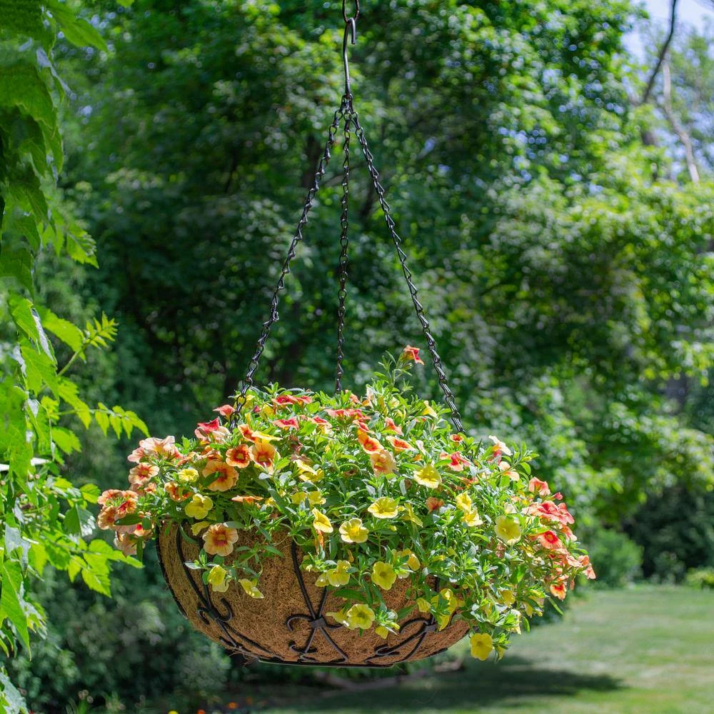 Gilbert & Bennett 14 in. Painted Steel Filigree Hanging Basket with Coco Liner - Image 9