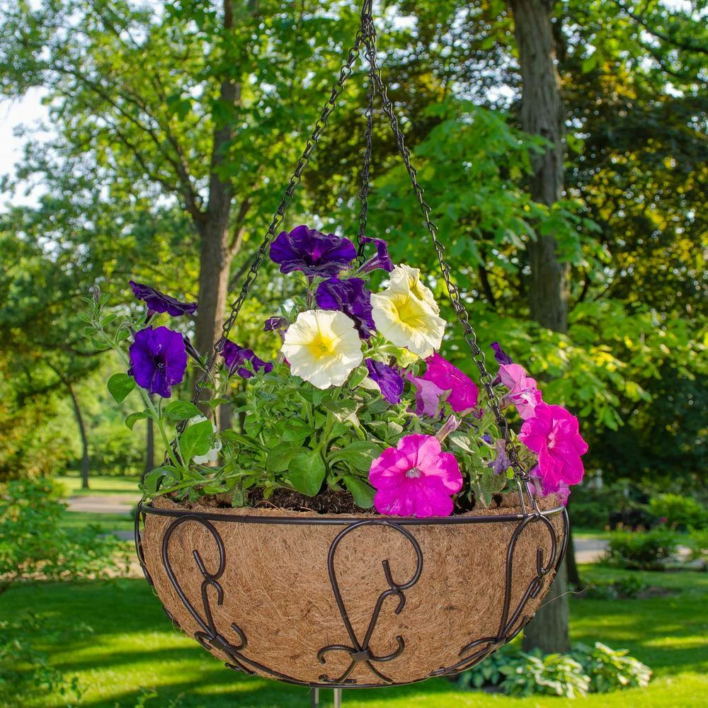 Gilbert & Bennett 14 in. Painted Steel Filigree Hanging Basket with Coco Liner - Image 8