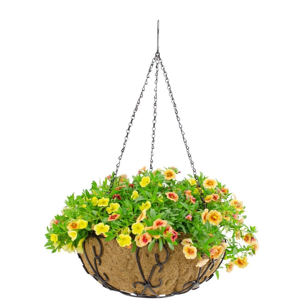 Gilbert & Bennett 14 in. Painted Steel Filigree Hanging Basket with Coco Liner - Image 3