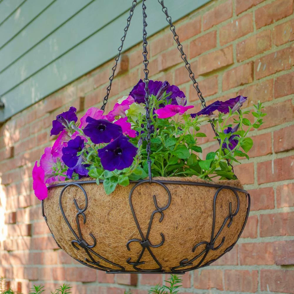 Gilbert & Bennett 14 in. Painted Steel Filigree Hanging Basket with Coco Liner - Image 7