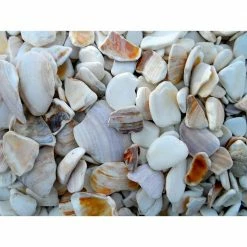 Butler Arts 0.25 cu. ft. 3/4 in. to 1-1/4 in. Natural Landscaping Seashells