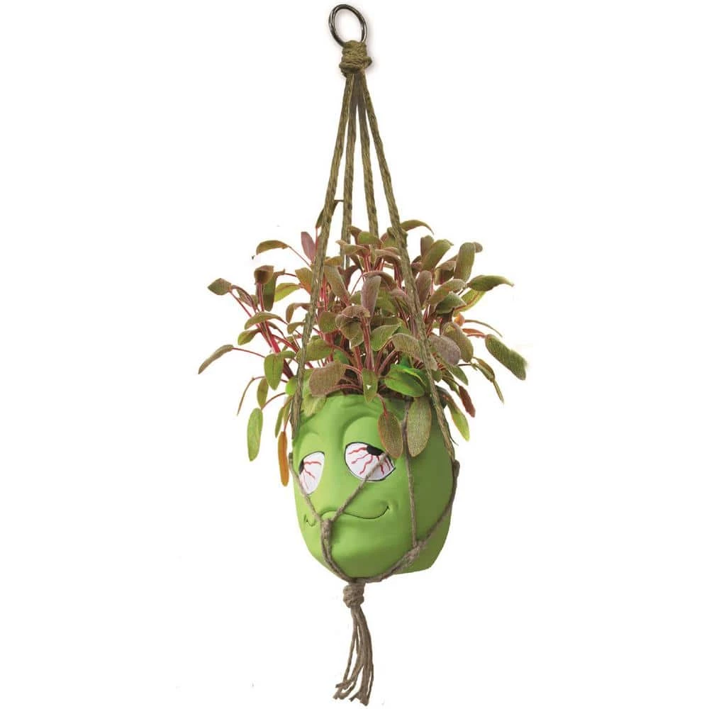 Primitive Planters Ceramic Best Buds Pot Gift Box with Hemp Jute Hanger - Bud - Image 2