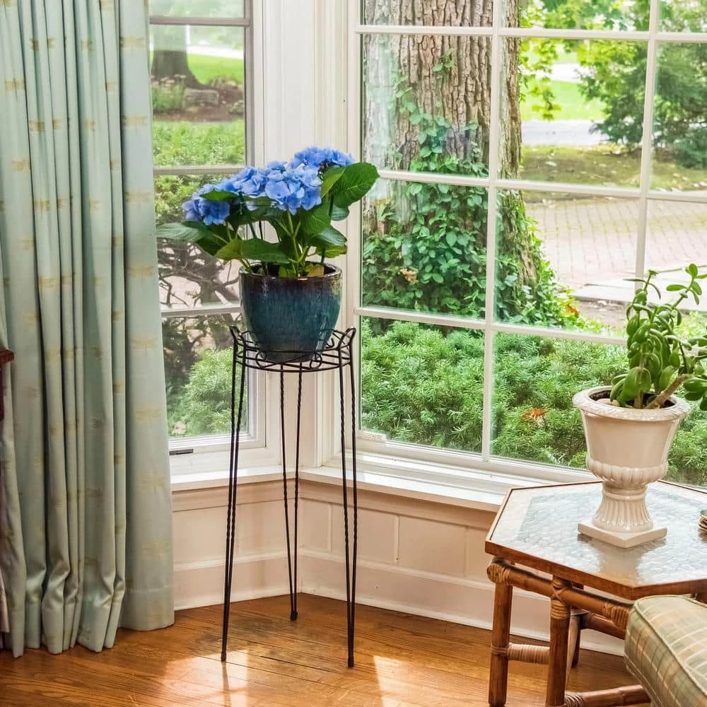 Gilbert & Bennett 30 in. Canterbury Scroll Top Metal Plant Stand - Image 3