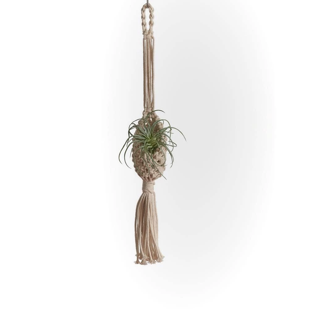 Primitive Planters Woven Cotton Mini Woven Plant Pouch - Image 2