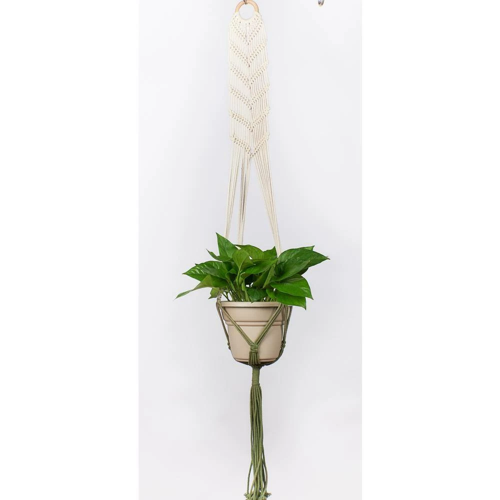 Primitive Planters 48 in. Off White with Olive Green Dip Dye Woven Cotton Macrame Plant Hammock (Natural with Green Dip Dye on Bottom) - Image 2