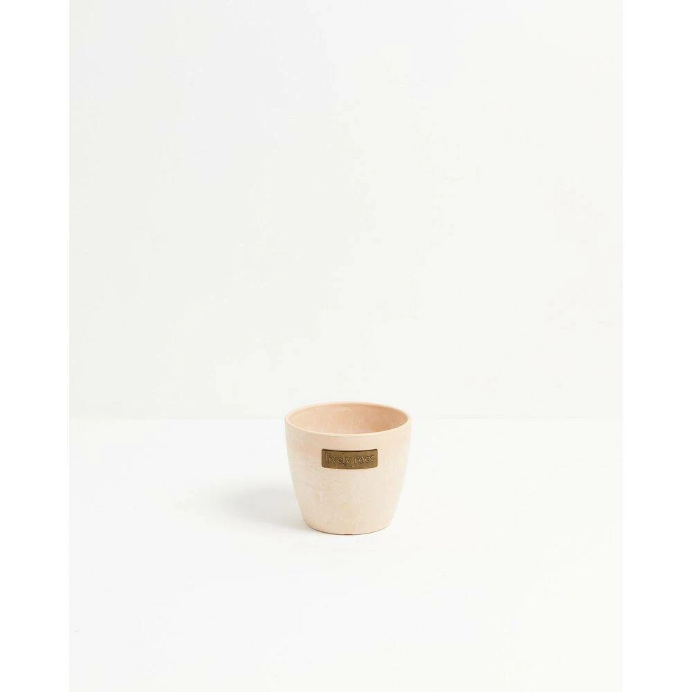 LIVELY ROOT 4 in. Peace Lily (Spathiphyllum) Plant in Macadamia Pot - Image 7